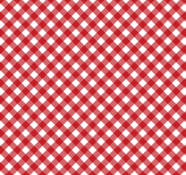 Red and white gingham checkered bias binding filling the frame.