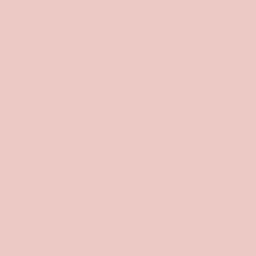 Solid light pink color swatch
