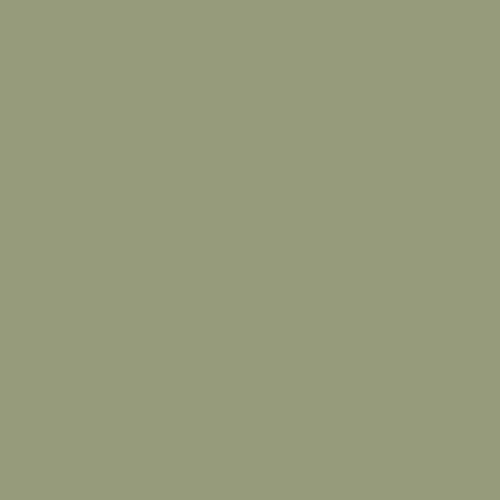 Solid lsage green color swatch